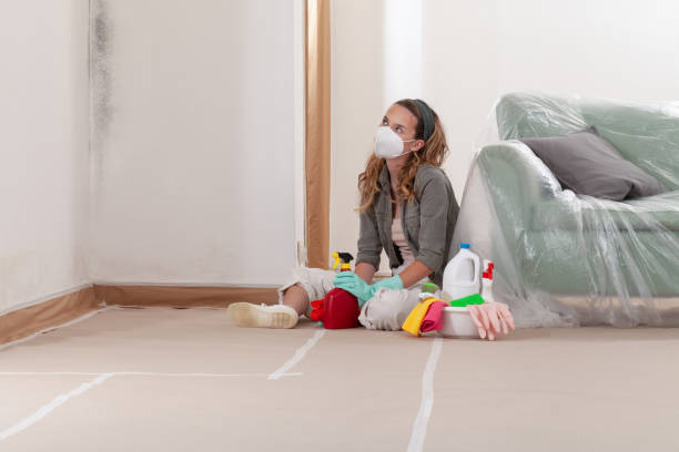 Reliable Mold Inspection contractor in Ponte Vedra, FL by WQB Mold Removal